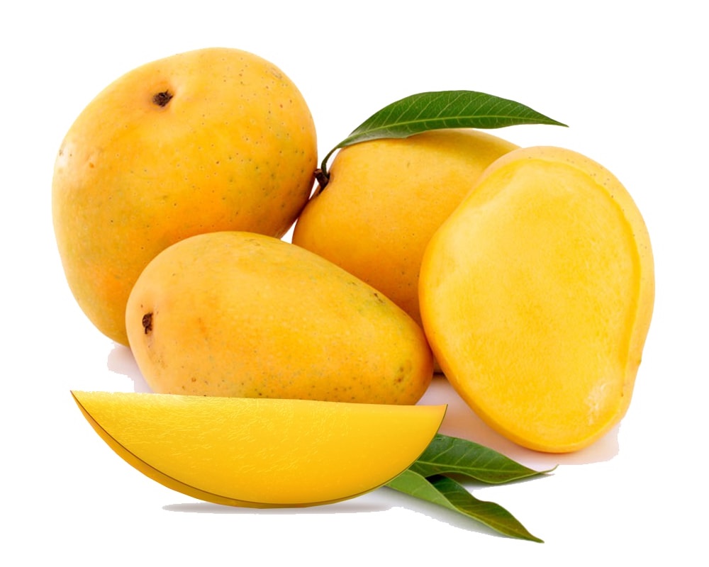 alphonso Concentrates