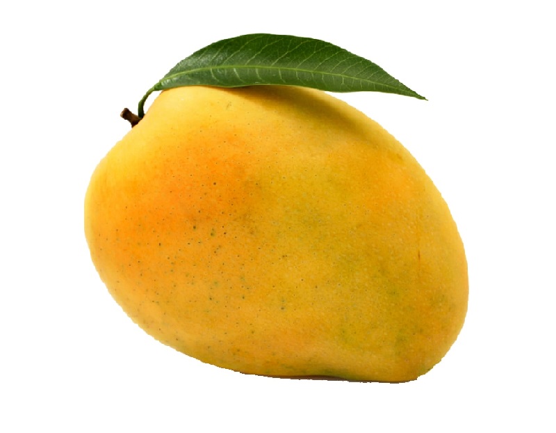 Alphonso Mango