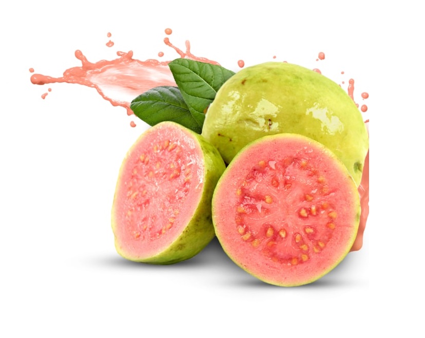 Guava concentrates